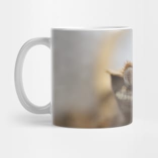 Crested gecko Mug